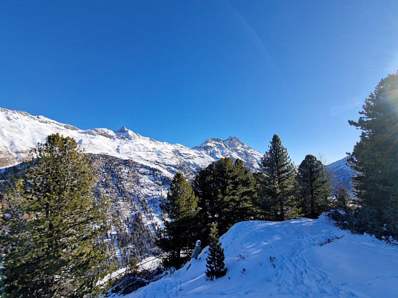 Piz